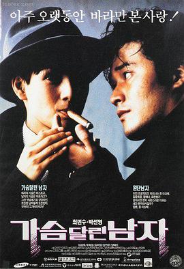 燃情岁月